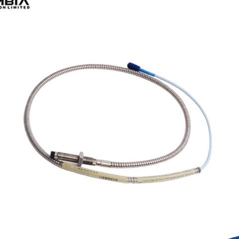 330106-05-30-10-02-05 Cable | Bently Nevada 3300XL