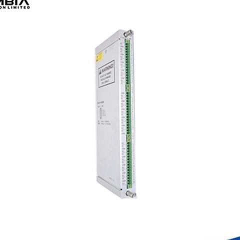 Bently Nevada 135031-01 | RIM I/O Module