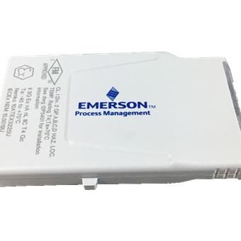 Emerson DELTAV KL3106X1-LS1 | SS4310T01 KL3106X1-LS1